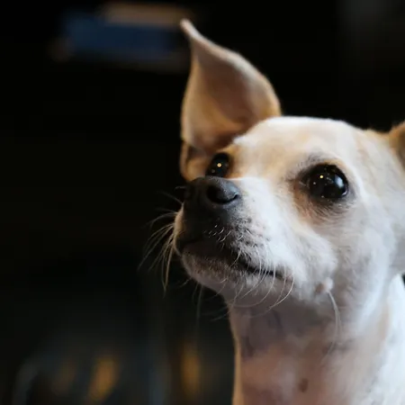 Bristol Relais Du Silence Superior