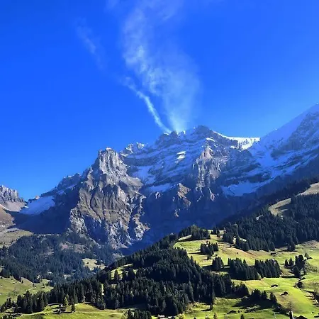 Bristol Relais Du Silence Superior 3* Adelboden