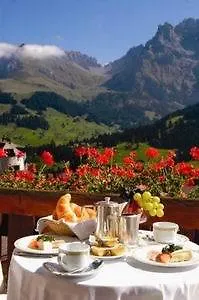 Bristol Relais Du Silence Superior Hotel Adelboden