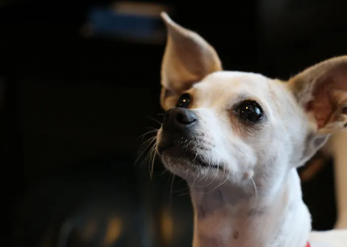 Bristol Relais Du Silence Superior