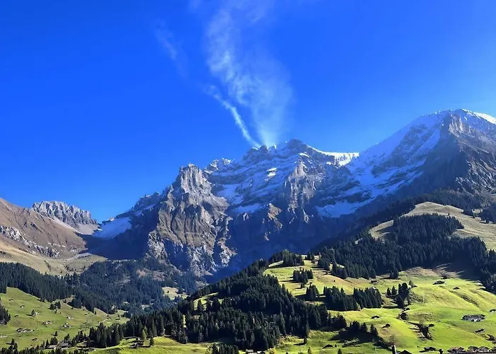 Bristol Relais Du Silence Superior 3* Adelboden