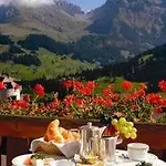 Bristol Relais Du Silence Superior Hotel Adelboden